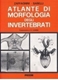 Immagine di ATLANTE DI MORFOLOGIA DEGLI INVERTEBRATI