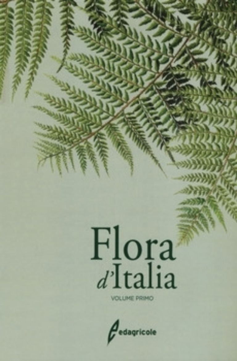 Picture of FLORA D'ITALIA 1