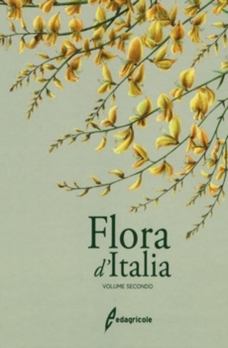 Picture of FLORA D'ITALIA 2